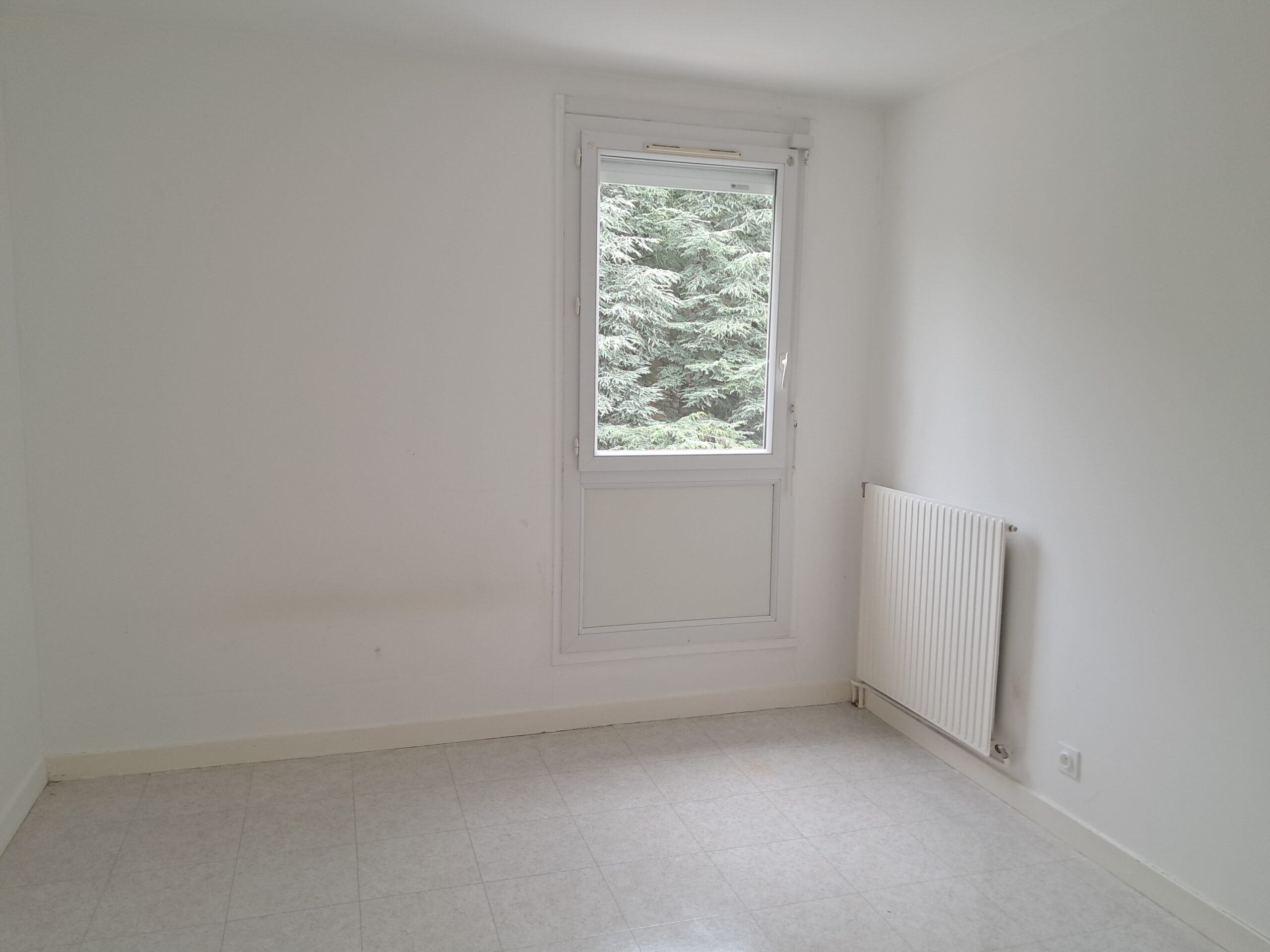 Lot n°00160055