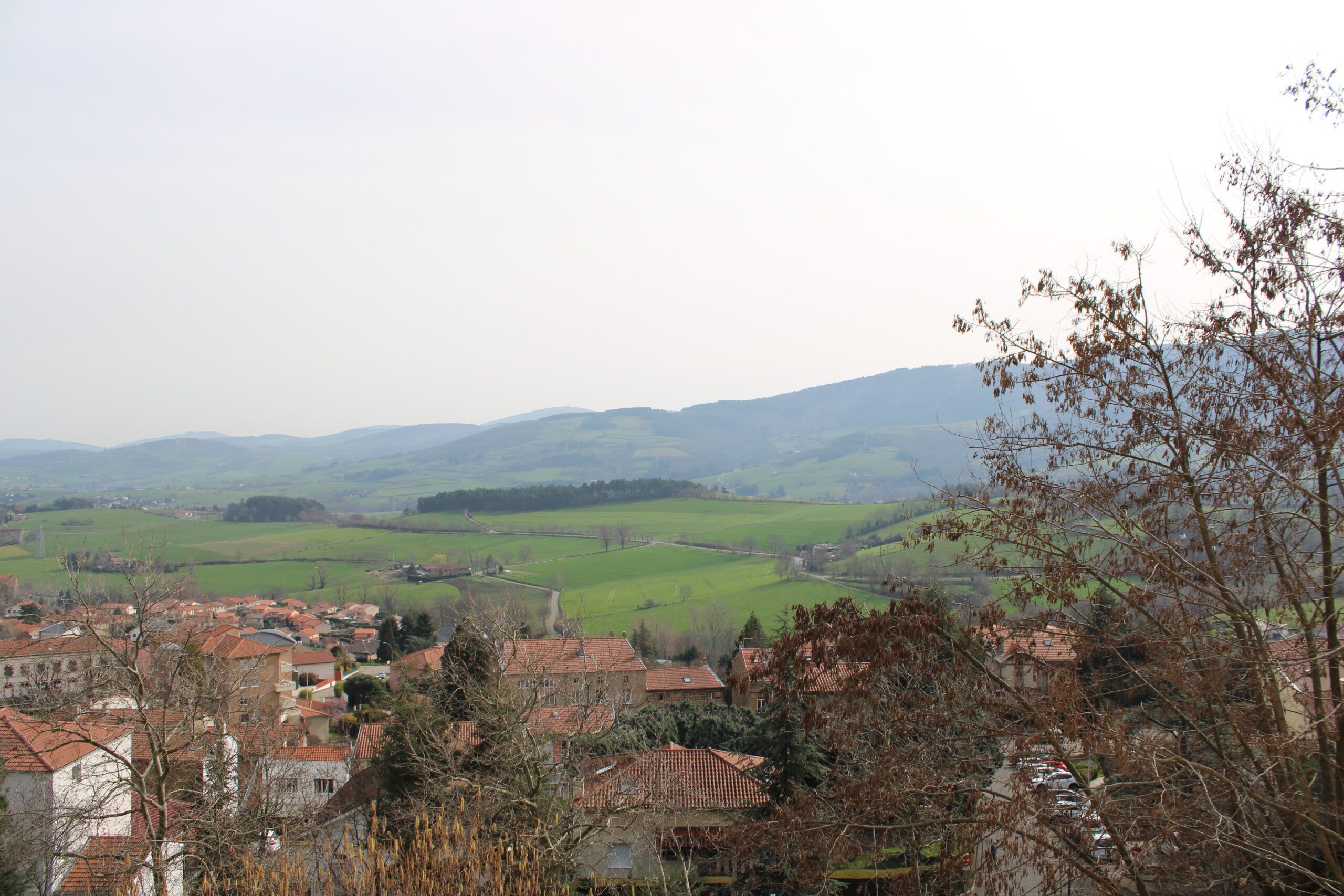 Lot n°00140021